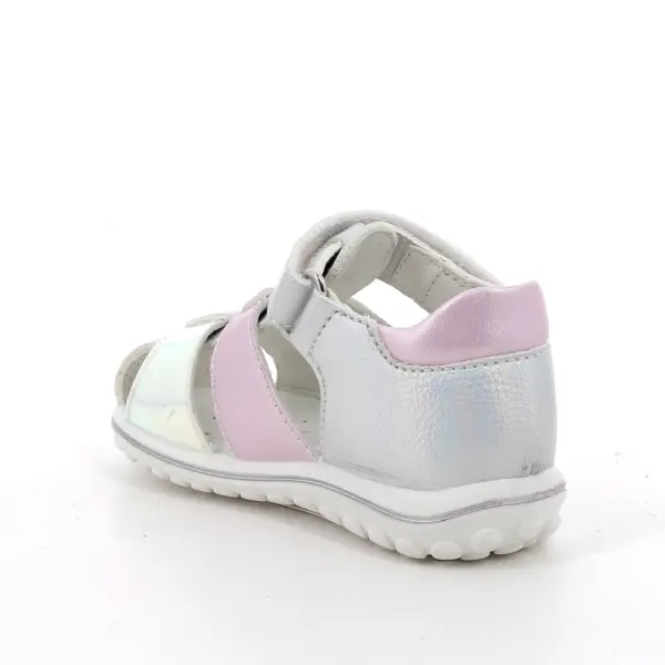 202611363544 3.jpg.webp