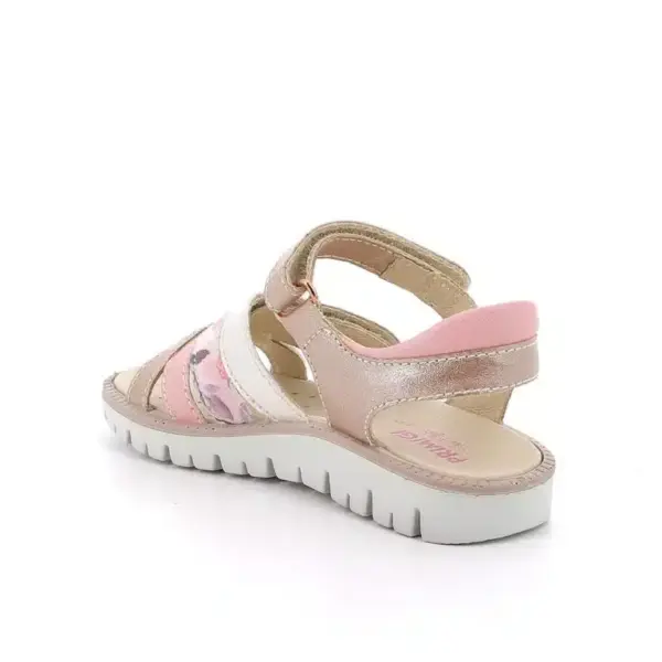 202611388911 2 eredmeny.webp