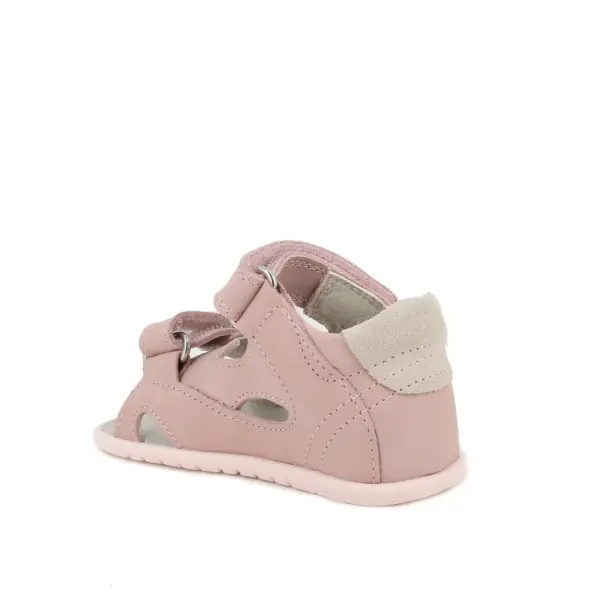 202611414144 3 eredmeny.webp