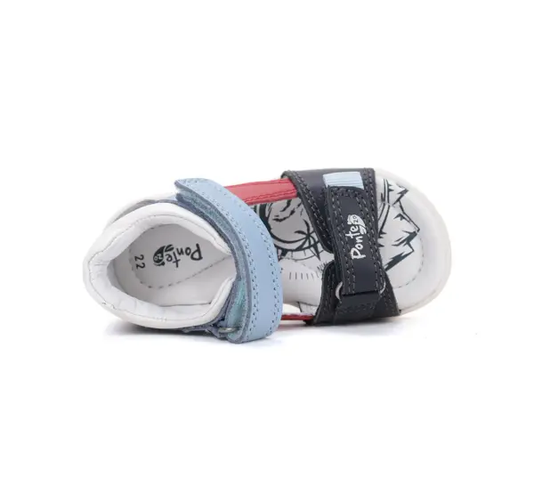 DA05 6 1884RoyalBlue04 900x.webp