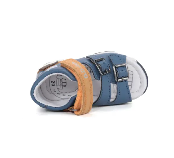 G064 61590ARoyalBlue04 900x.webp